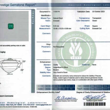 9.07ct EC EMLD AGL - CE588