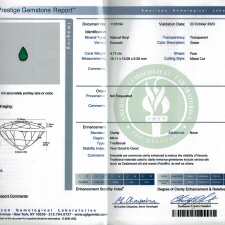 9.96ct PS EMLD AGL - CE613